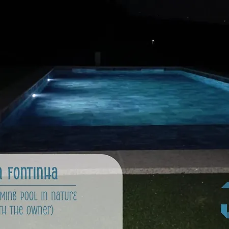 Casa Da Fontinha - Swimming Pool & Free Parking Semesterbostad